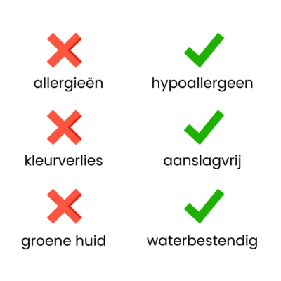 EDDI Oorbellen met Zirkoon